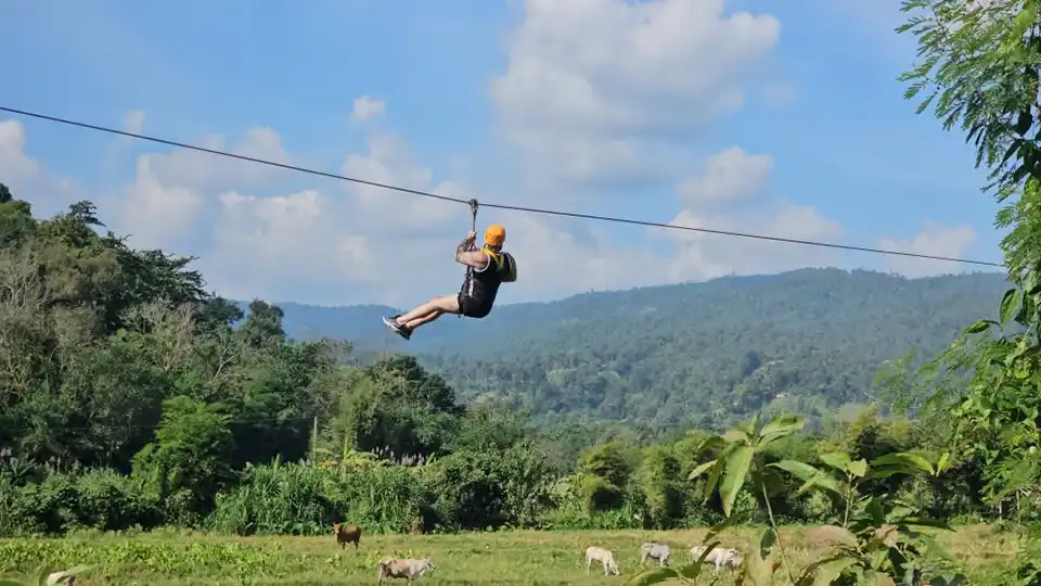 Chiang Mai: Maewang Zipline Adventure